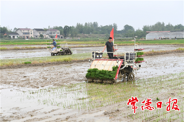 澳门新葡新京在线