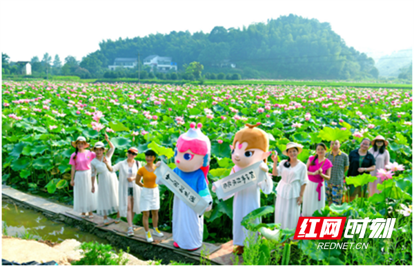 澳门新葡新京在线