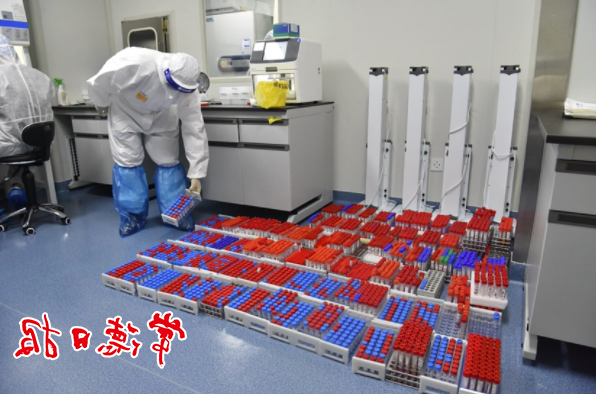 澳门新葡新京在线