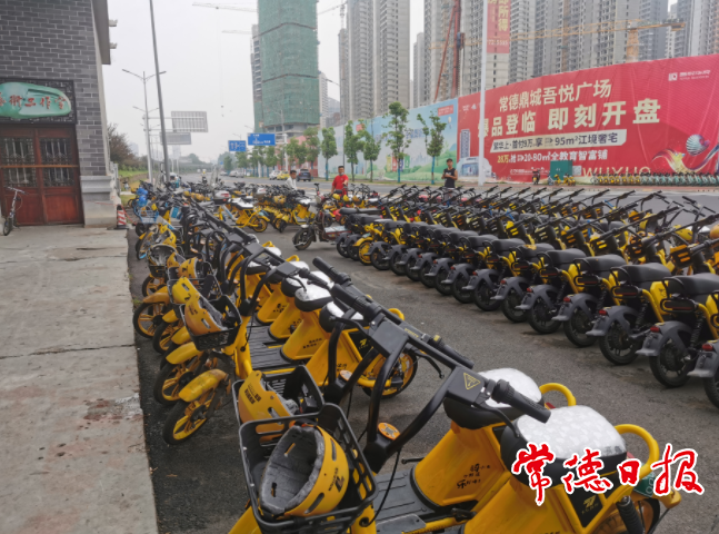 澳门新葡新京在线