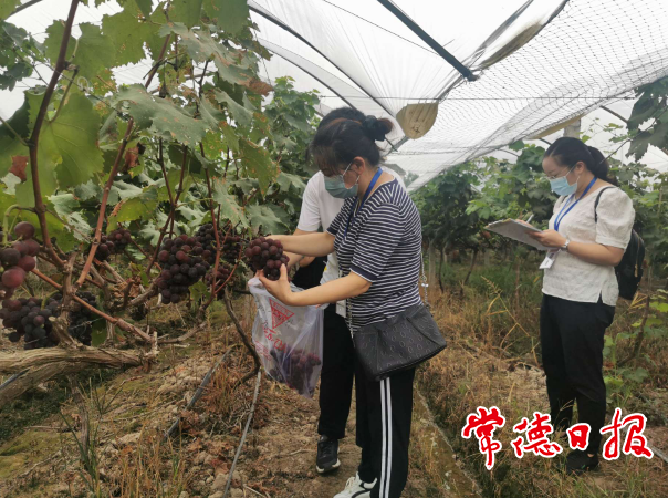 澳门新葡新京在线