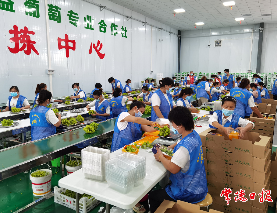 澳门新葡新京在线