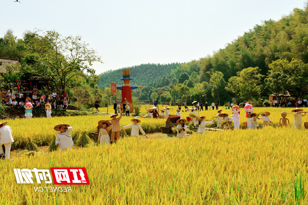澳门新葡新京在线