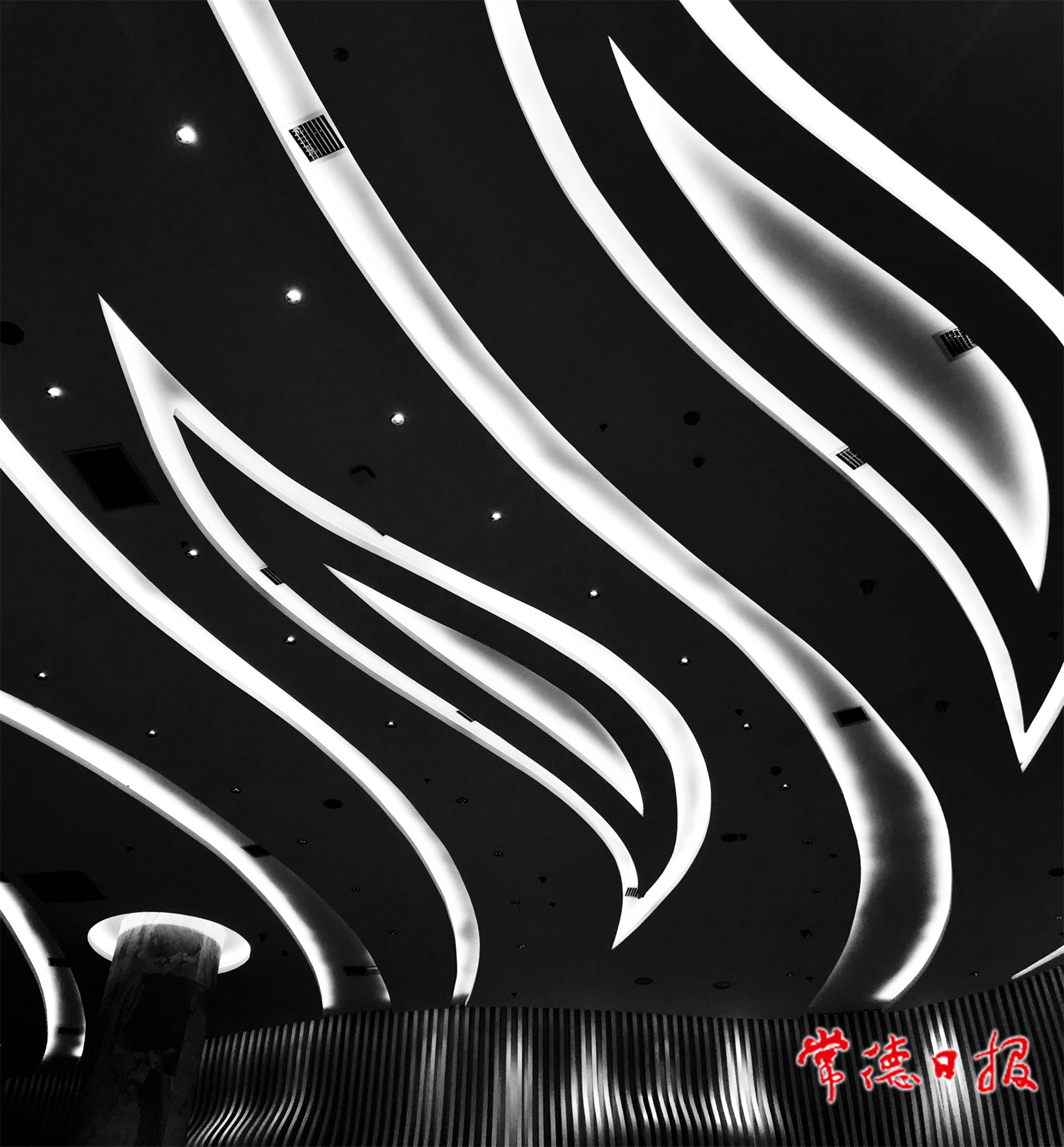 胡晓新-漫舞飞扬-1.jpg