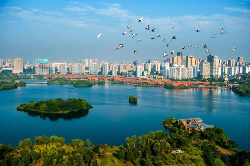 澳门新葡新京在线