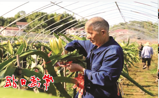 澳门新葡新京在线