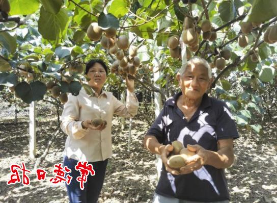 澳门新葡新京在线