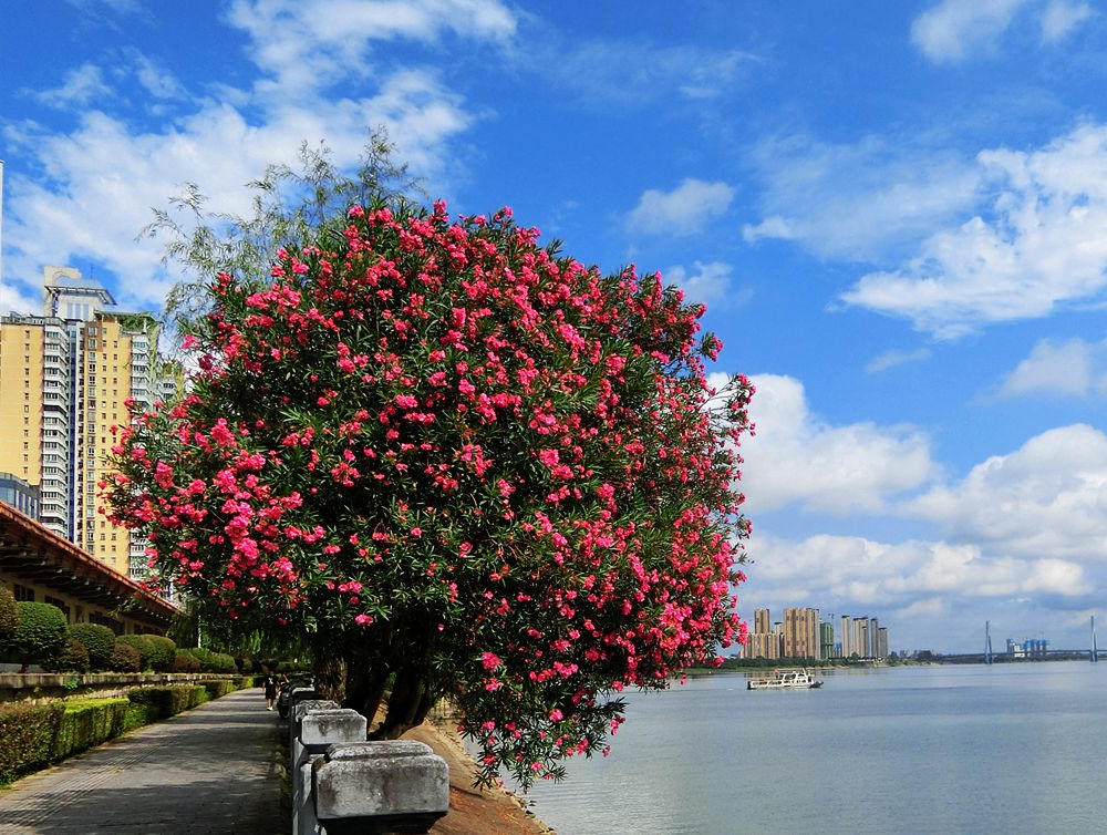 澳门新葡新京在线