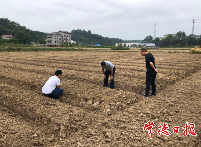 澳门新葡新京在线