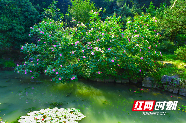 澳门新葡新京在线