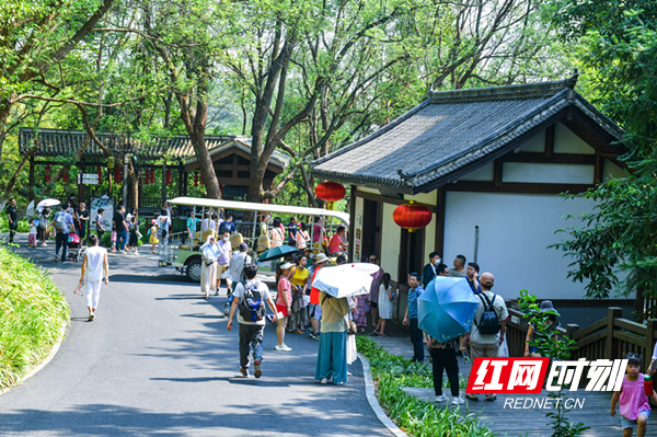 澳门新葡新京在线