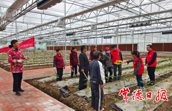 澳门新葡新京在线