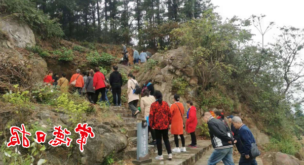 澳门新葡新京在线