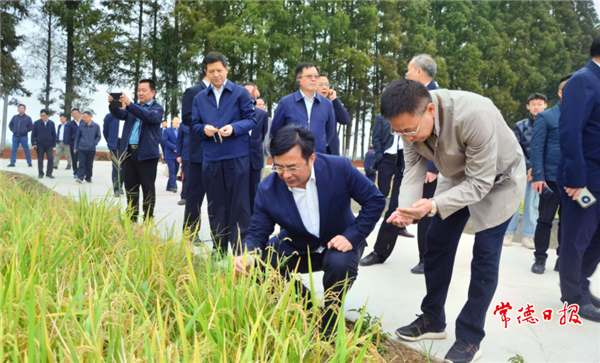 澳门新葡新京在线