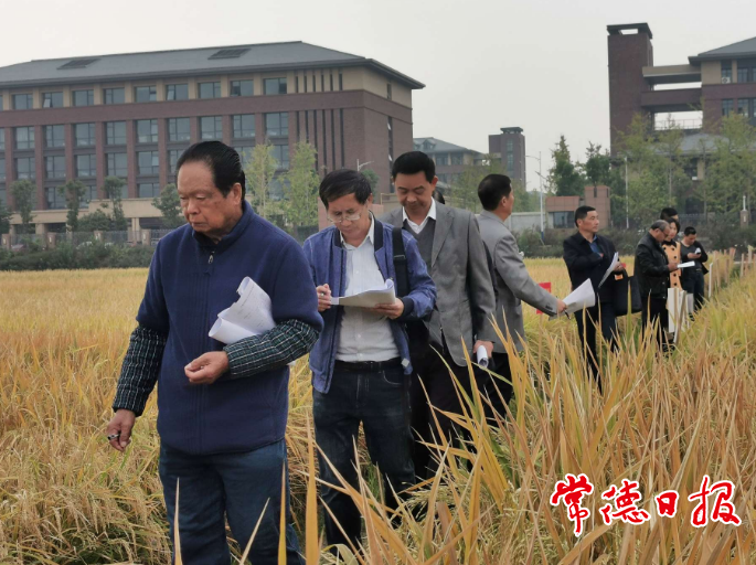 澳门新葡新京在线