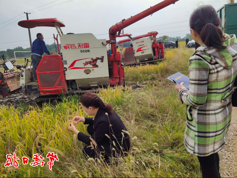 澳门新葡新京在线