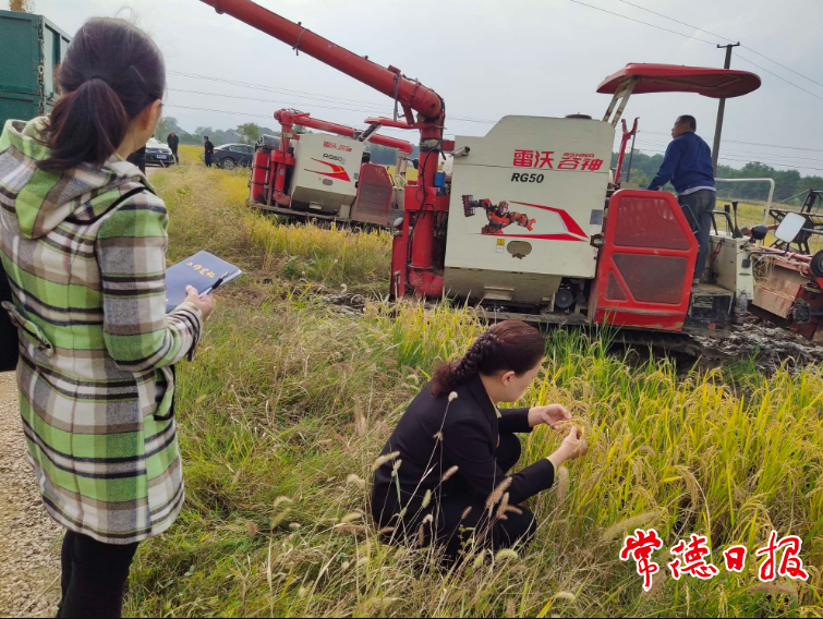 澳门新葡新京在线