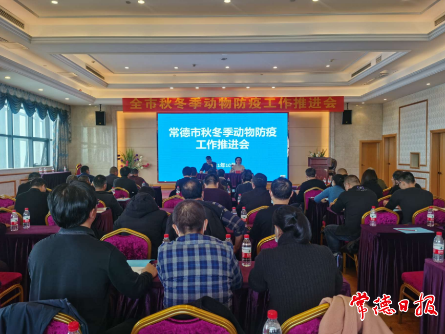 澳门新葡新京在线