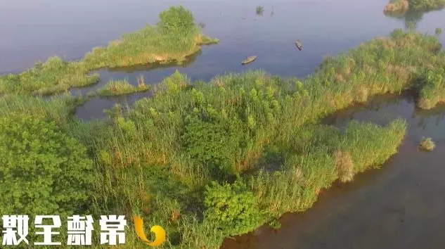 澳门新葡新京在线
