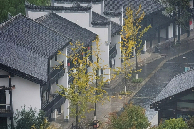 手机摄影┃