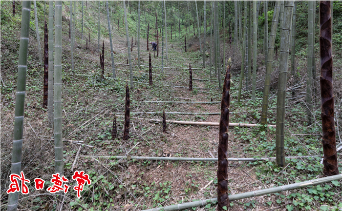 澳门新葡新京在线