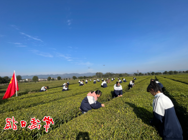 澳门新葡新京在线