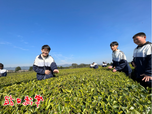 澳门新葡新京在线