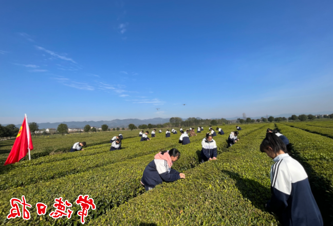 澳门新葡新京在线