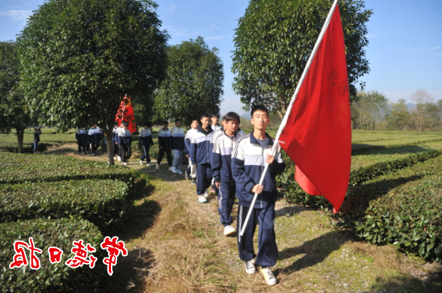 澳门新葡新京在线