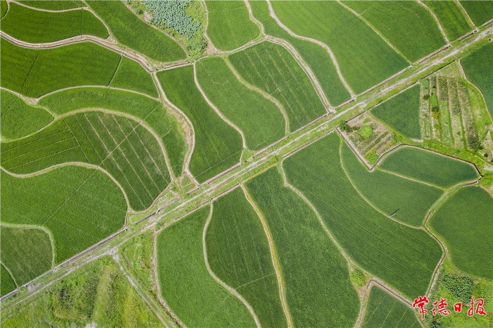 大地脉络 周爱田 摄.jpg