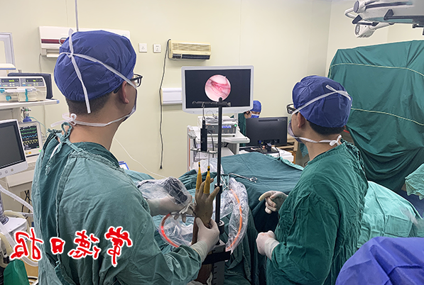 澳门新葡新京在线