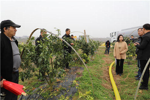 澳门新葡新京在线