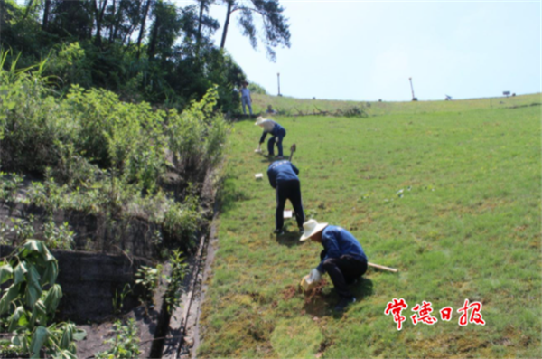 澳门新葡新京在线