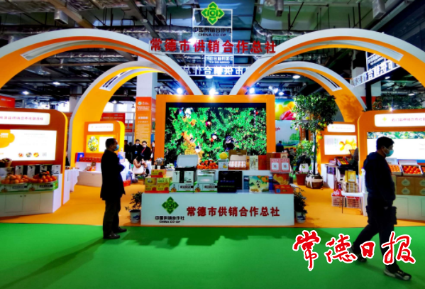 澳门新葡新京在线