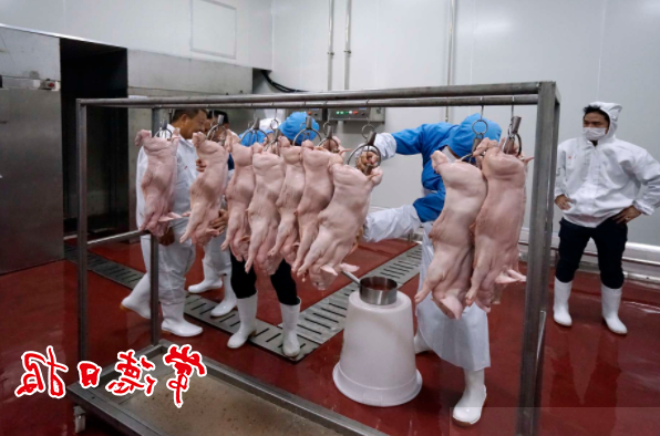 澳门新葡新京在线