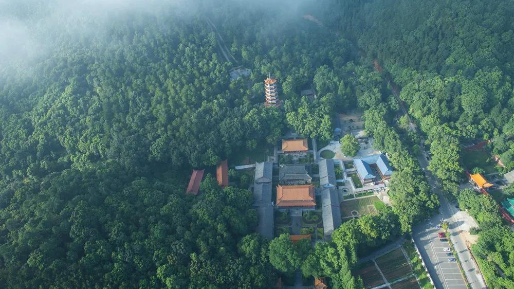 澳门新葡新京在线