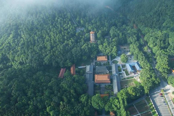 澳门新葡新京在线