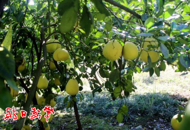 澳门新葡新京在线