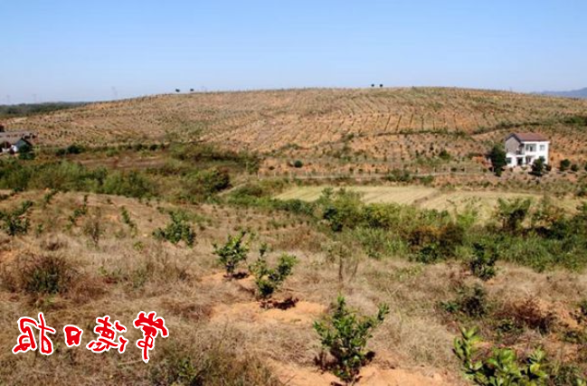 澳门新葡新京在线