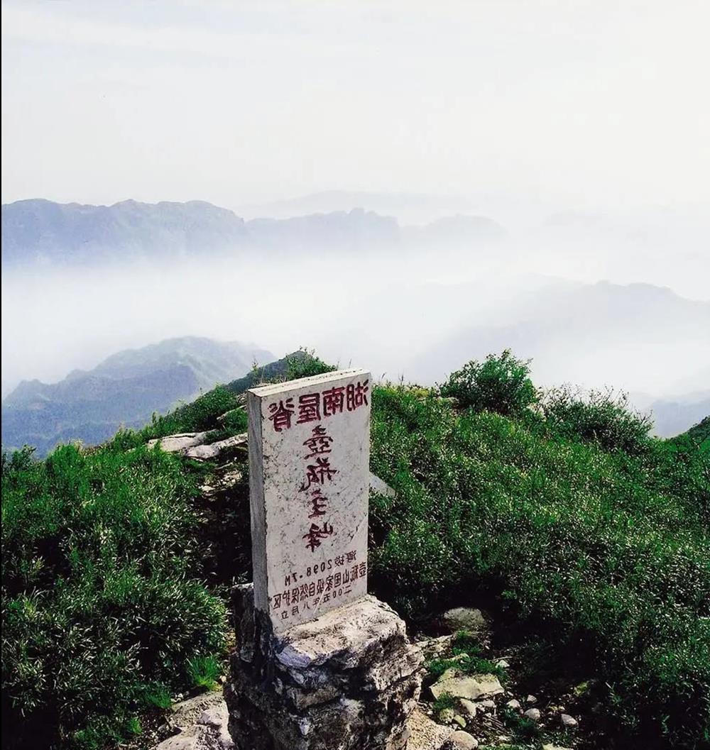 澳门新葡新京在线