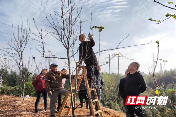 澳门新葡新京在线