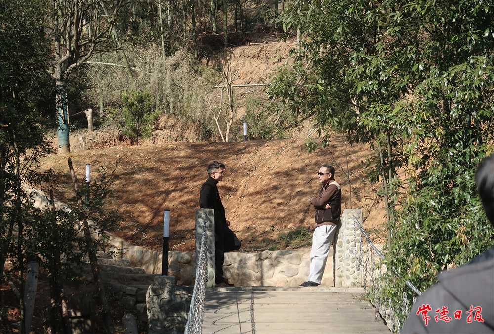 IMG_1236p.jpg