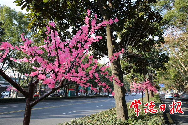 【社会】城市亮化年味浓 流光溢彩迎新春