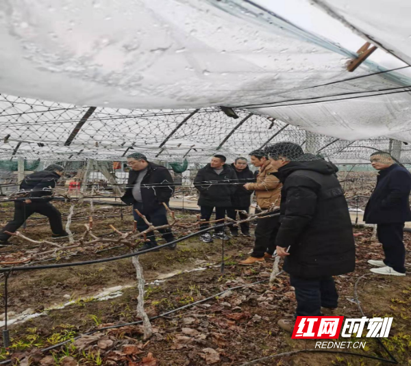 图片2.png 澳门新葡新京在线