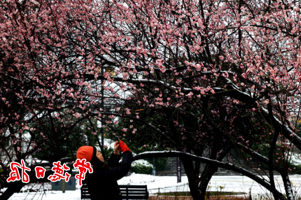 澳门新葡新京在线