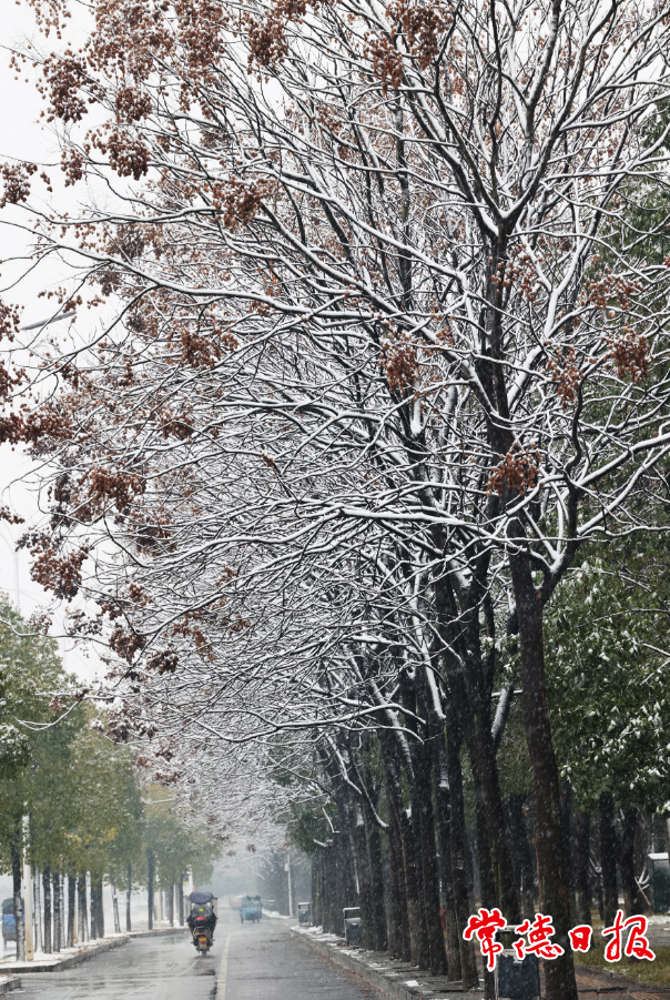 澳门新葡新京在线