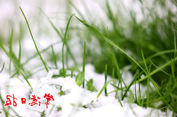 澳门新葡新京在线