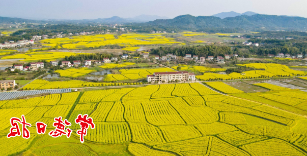 澳门新葡新京在线