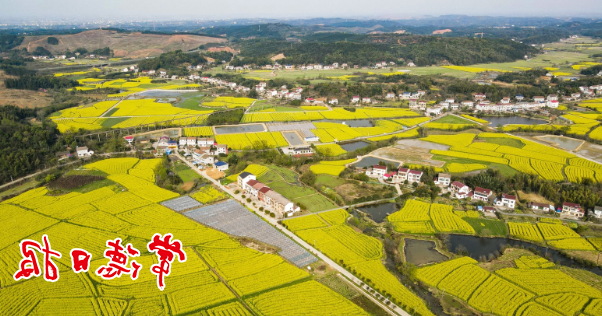 澳门新葡新京在线