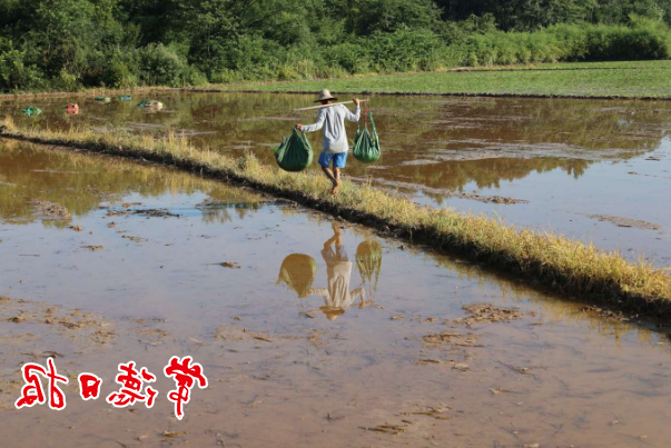 澳门新葡新京在线